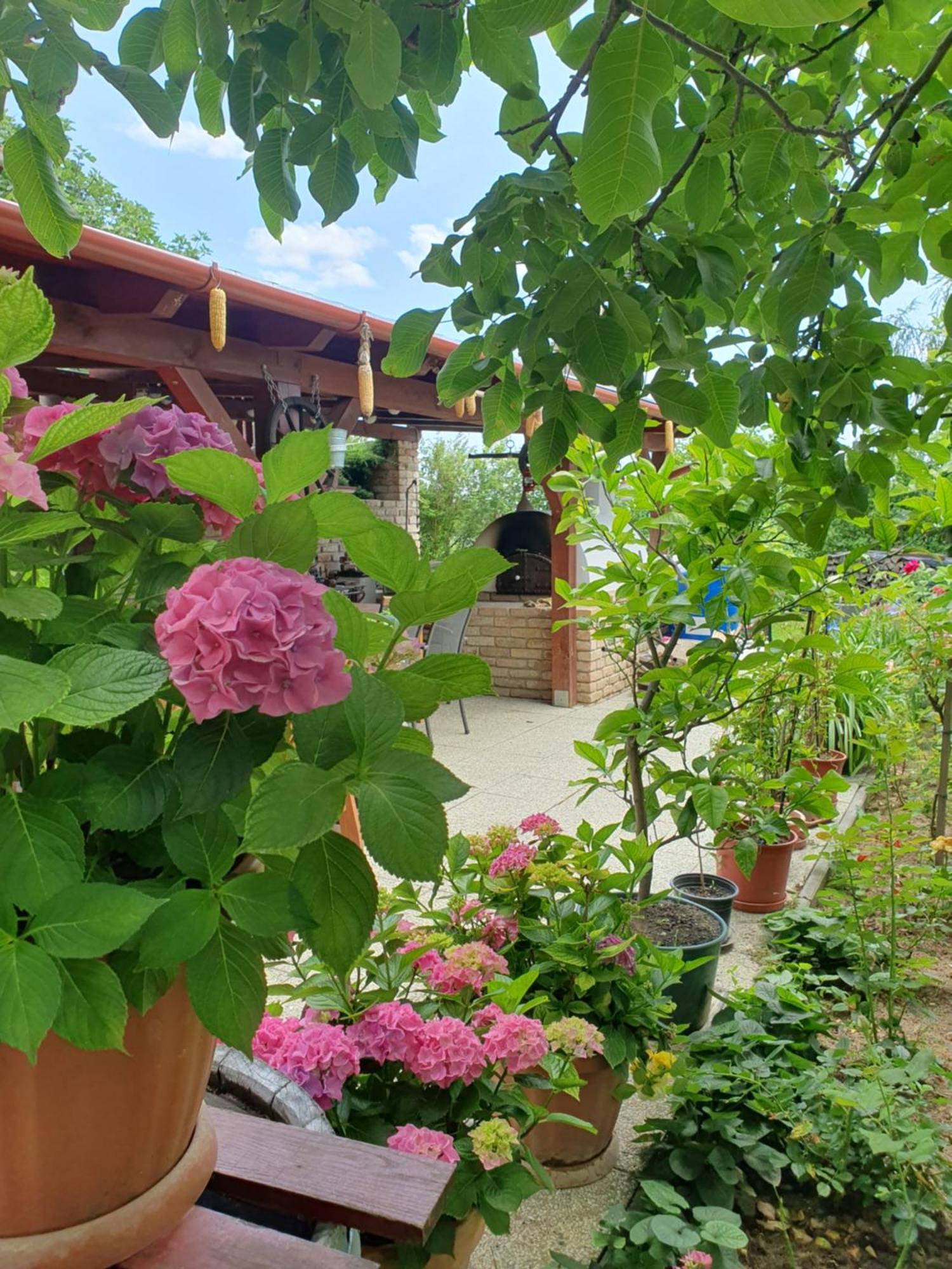 Feher Rozsa Apartman Cserszegtomaj Bagian luar foto