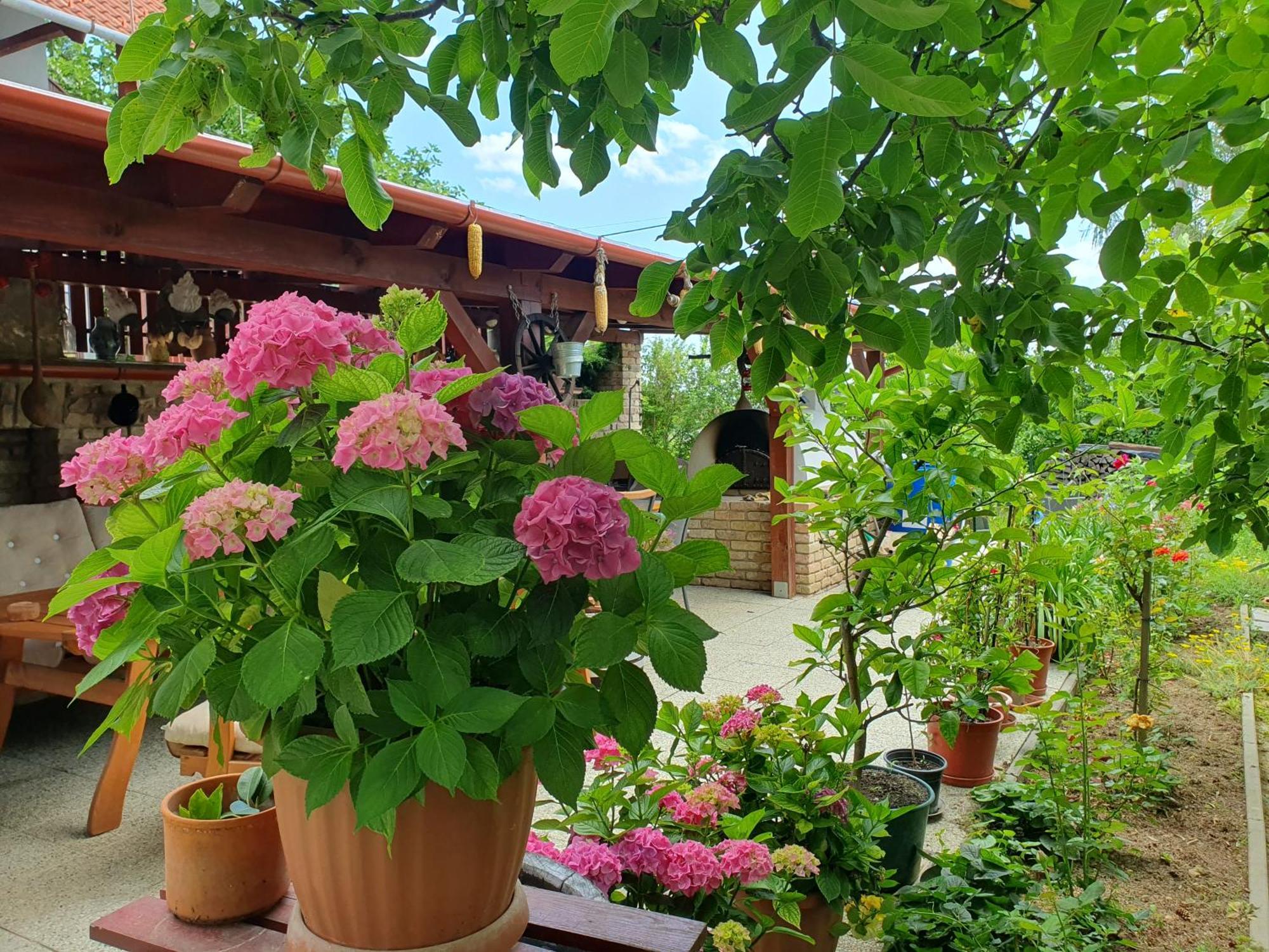 Feher Rozsa Apartman Cserszegtomaj Bagian luar foto